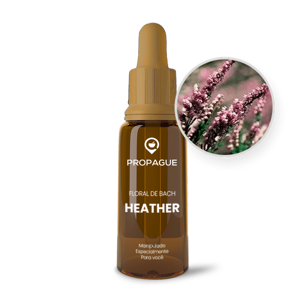 Imagem não encontrada