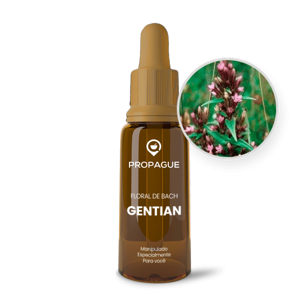 Imagem não encontrada