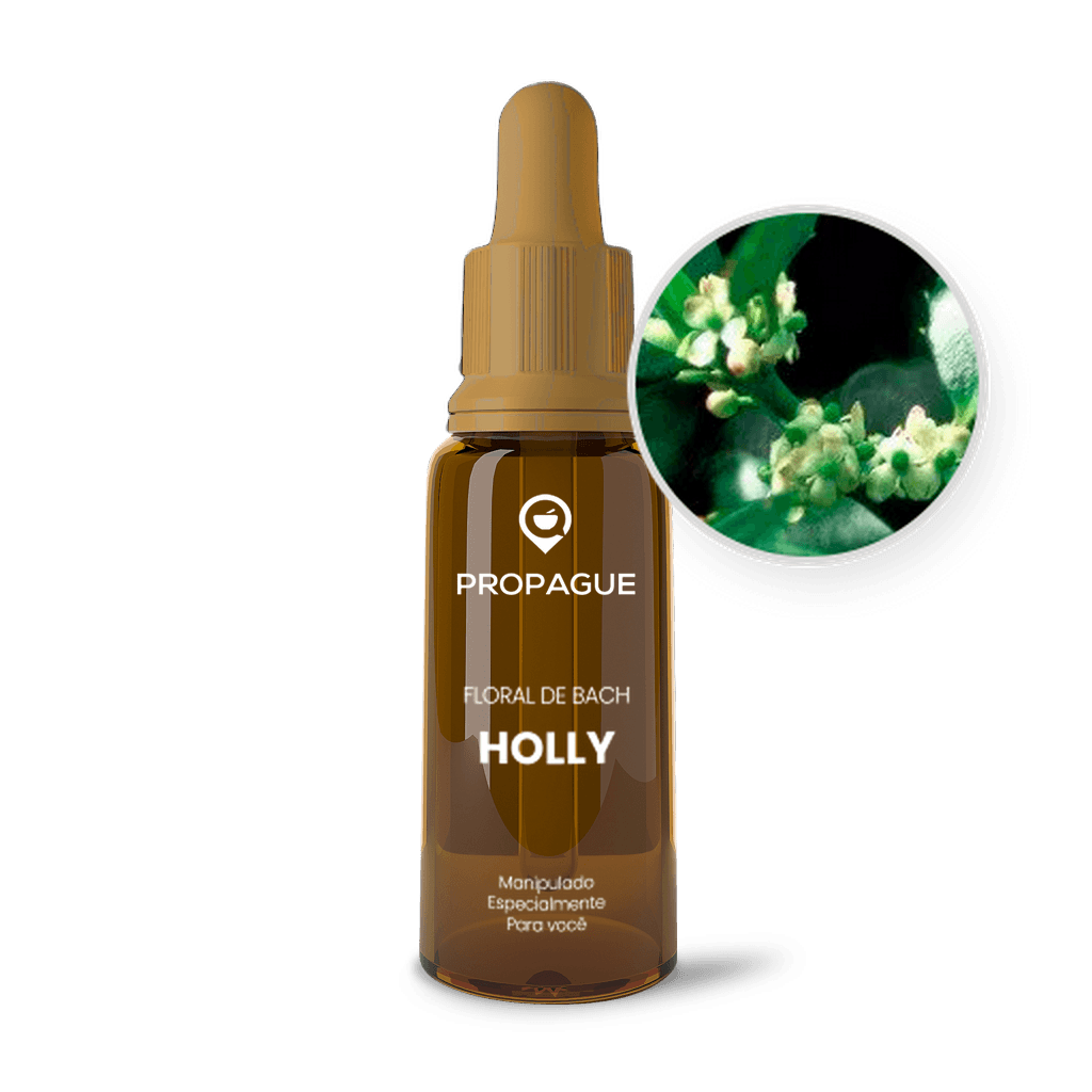 Imagem não encontrada