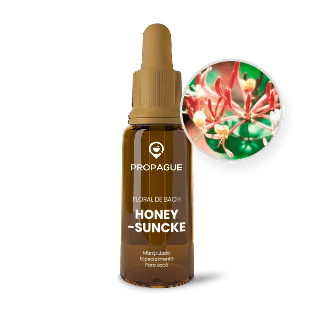 Imagem não encontrada