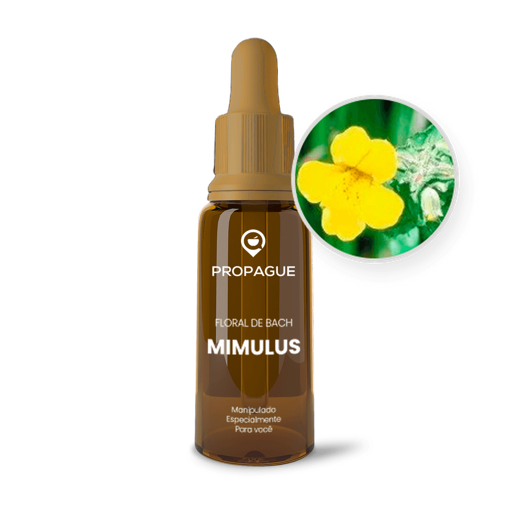 Imagem não encontrada