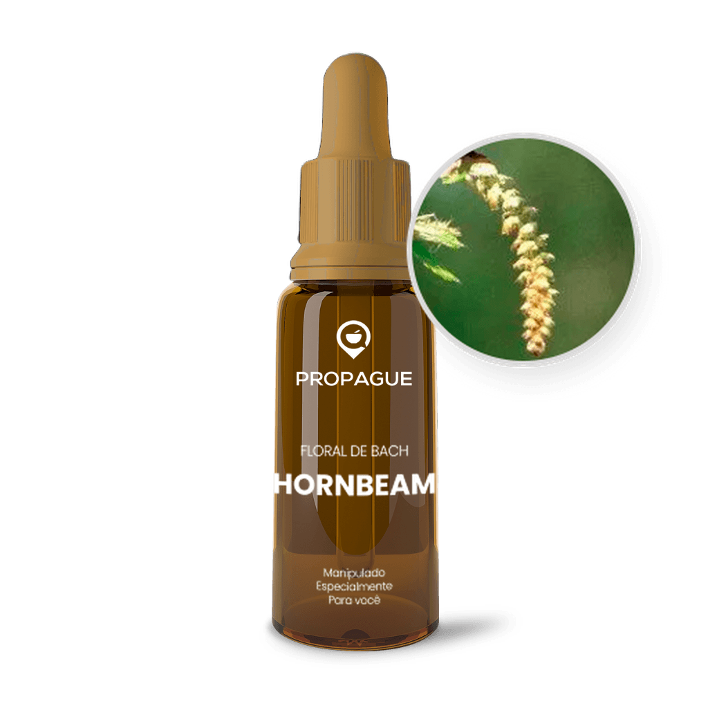 Imagem não encontrada