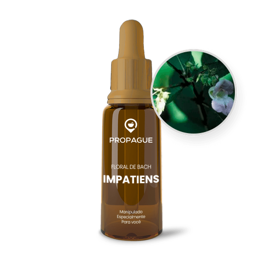 Imagem não encontrada