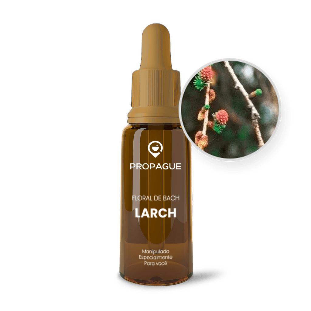 Imagem não encontrada