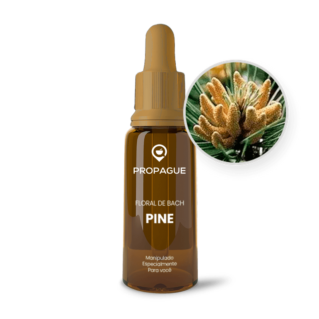 Imagem não encontrada