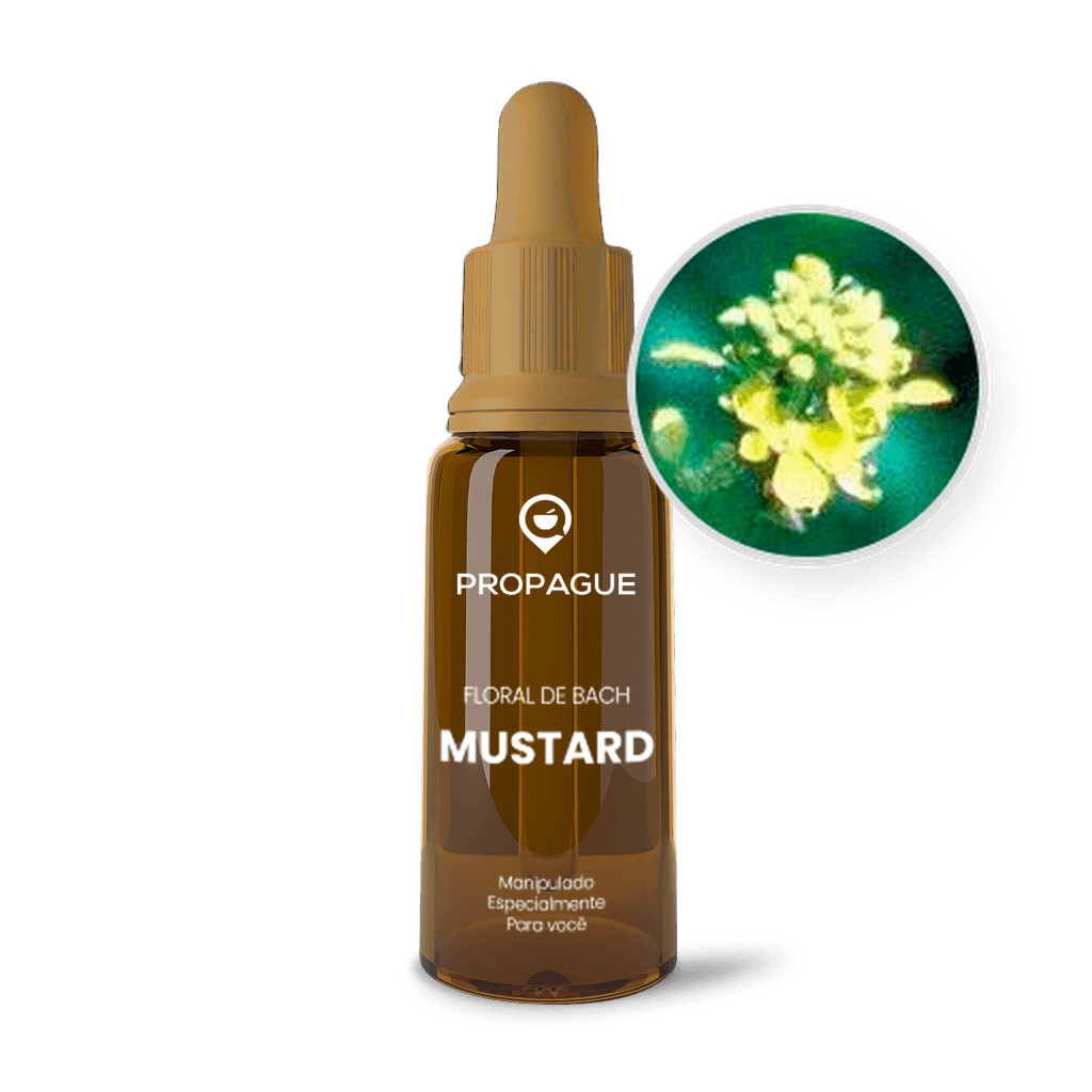 Imagem não encontrada