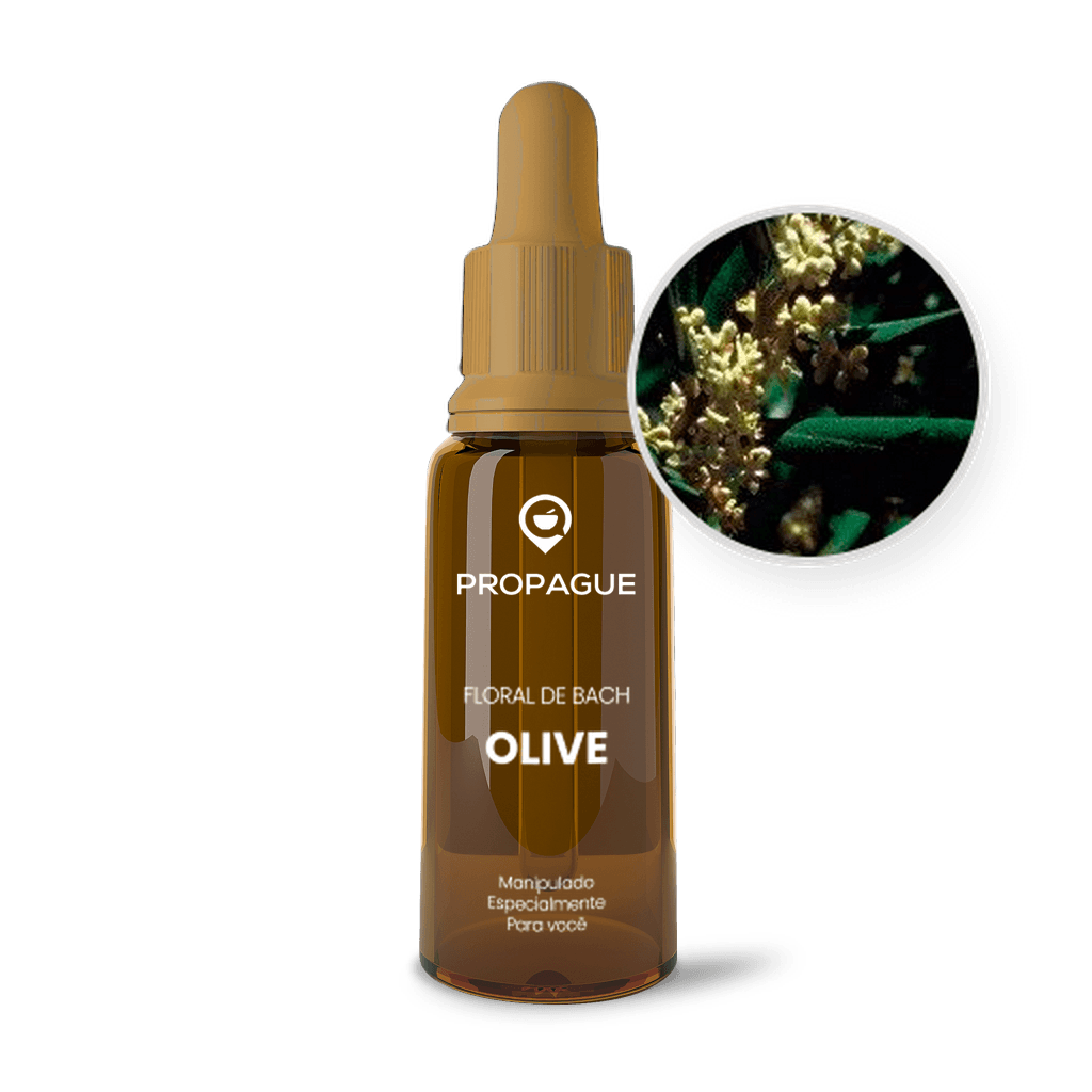 Imagem não encontrada