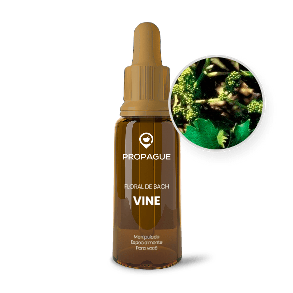 Imagem não encontrada